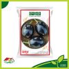 Apurba Hybrid Brinjal