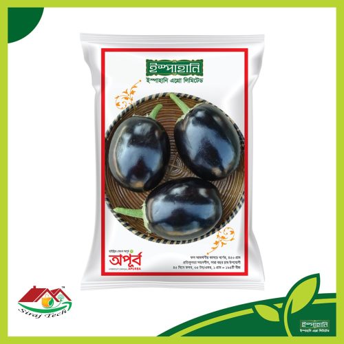 Apurba Hybrid Brinjal