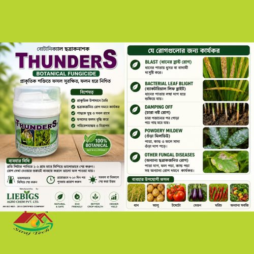 Blast & Fungal Disease Control for Paddy & Vegetables