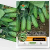 Cucumber Seeds
