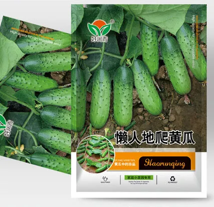 Cucumber Seeds