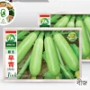 Green Squash Seeds