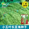 Green Yardlong Bean