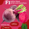 Hybrid Beetroot Seeds