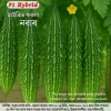 Hybrid Karla seeds Nawab