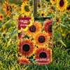 Mix Color Sunflower Seeds