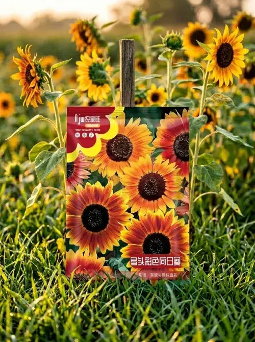 Mix Color Sunflower Seeds