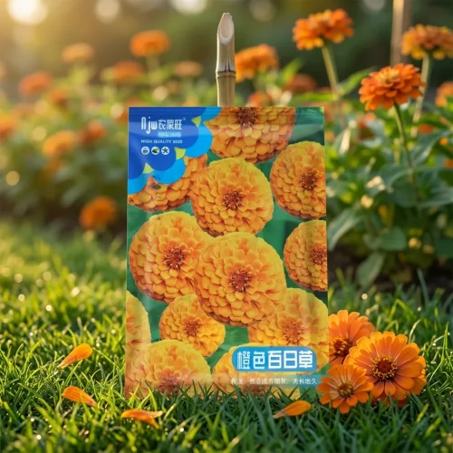 Orange Zinnia
