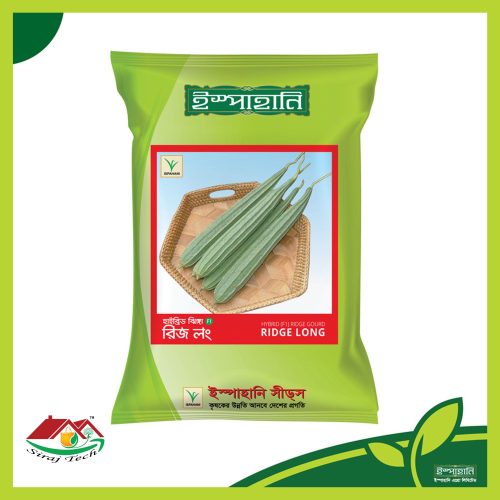 Ridge Long Ridge Gourd