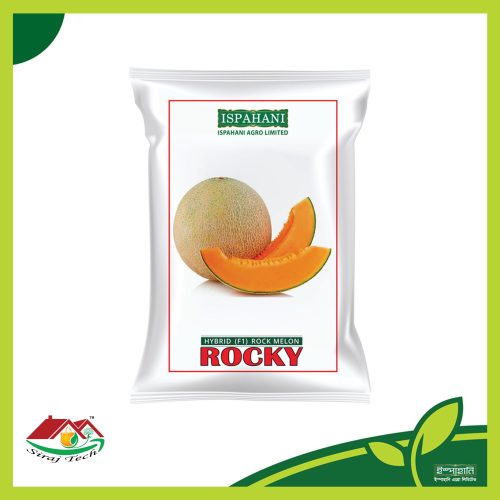 Rocky Rock Melon