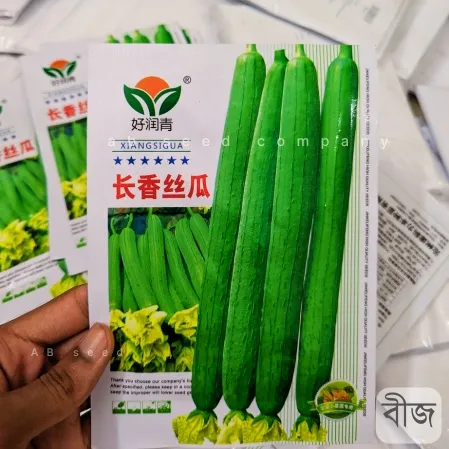 Sponge Gourd