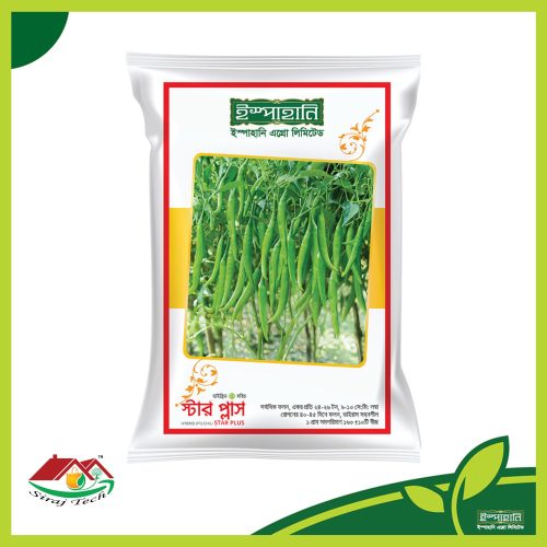 Star Plus Hybrid Chili