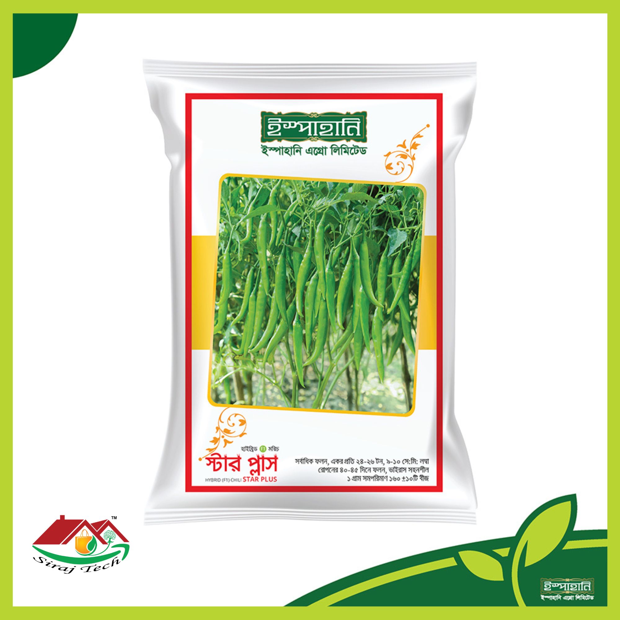 Star Plus Hybrid Chili
