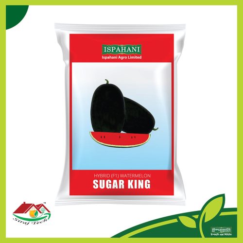 Sugar King Watermelon
