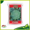 Sundori Hybrid Broccoli