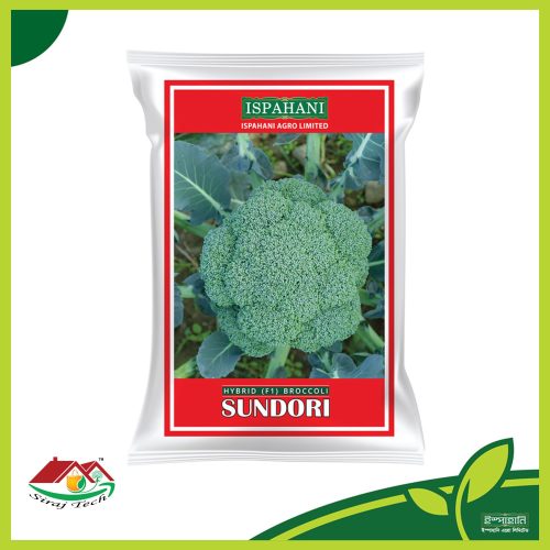 Sundori Hybrid Broccoli