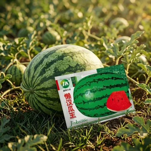 Watermelon seeds Lazy 02 - তরমুজের বীজ লেজী ০২