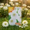 White Zinnia